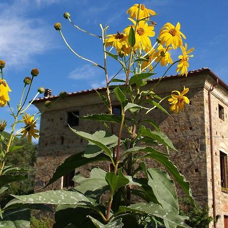 Villa Al Palazzaccio Calci Zimmer foto