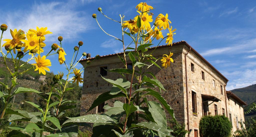 Villa Al Palazzaccio Calci Zimmer foto