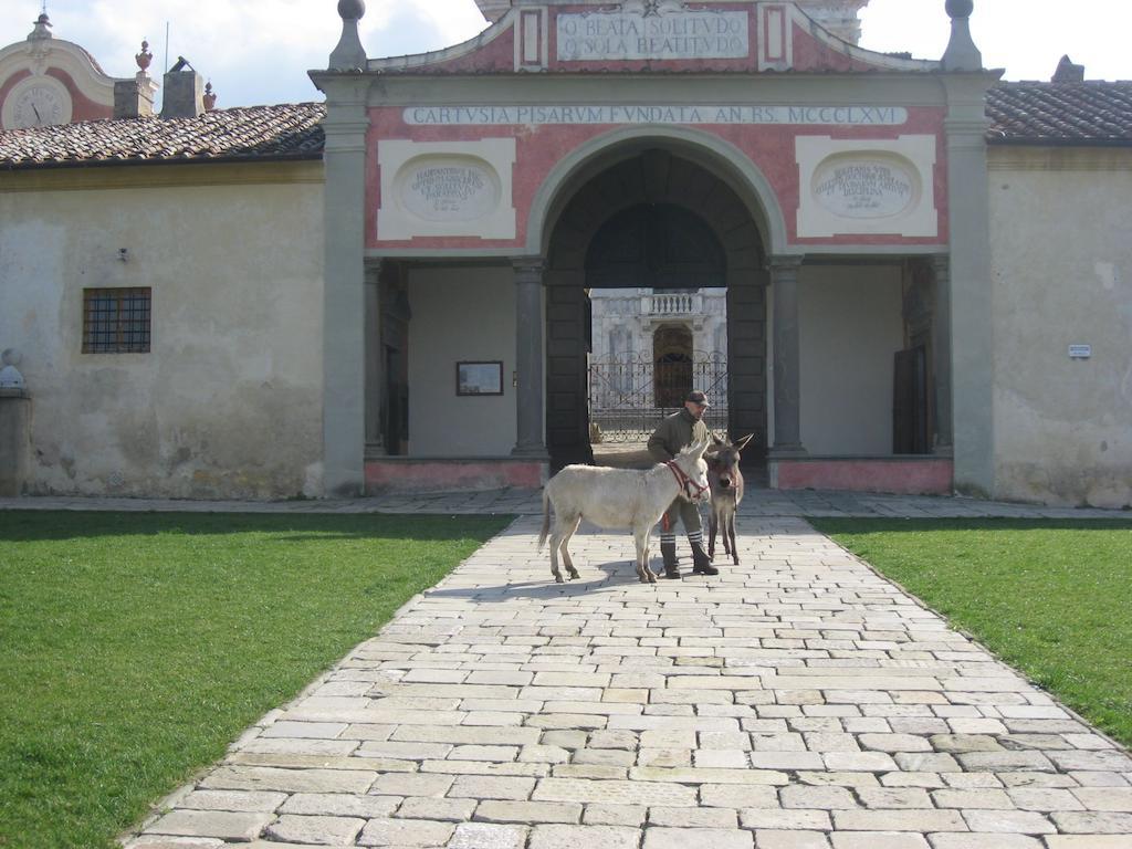 Villa Al Palazzaccio Calci Exterior foto